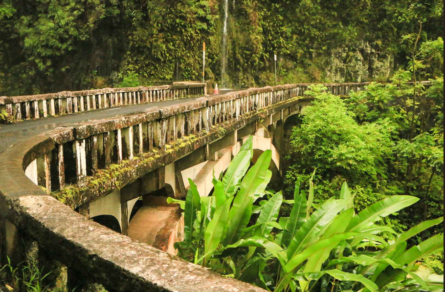 Private Rainforest Valley Tour