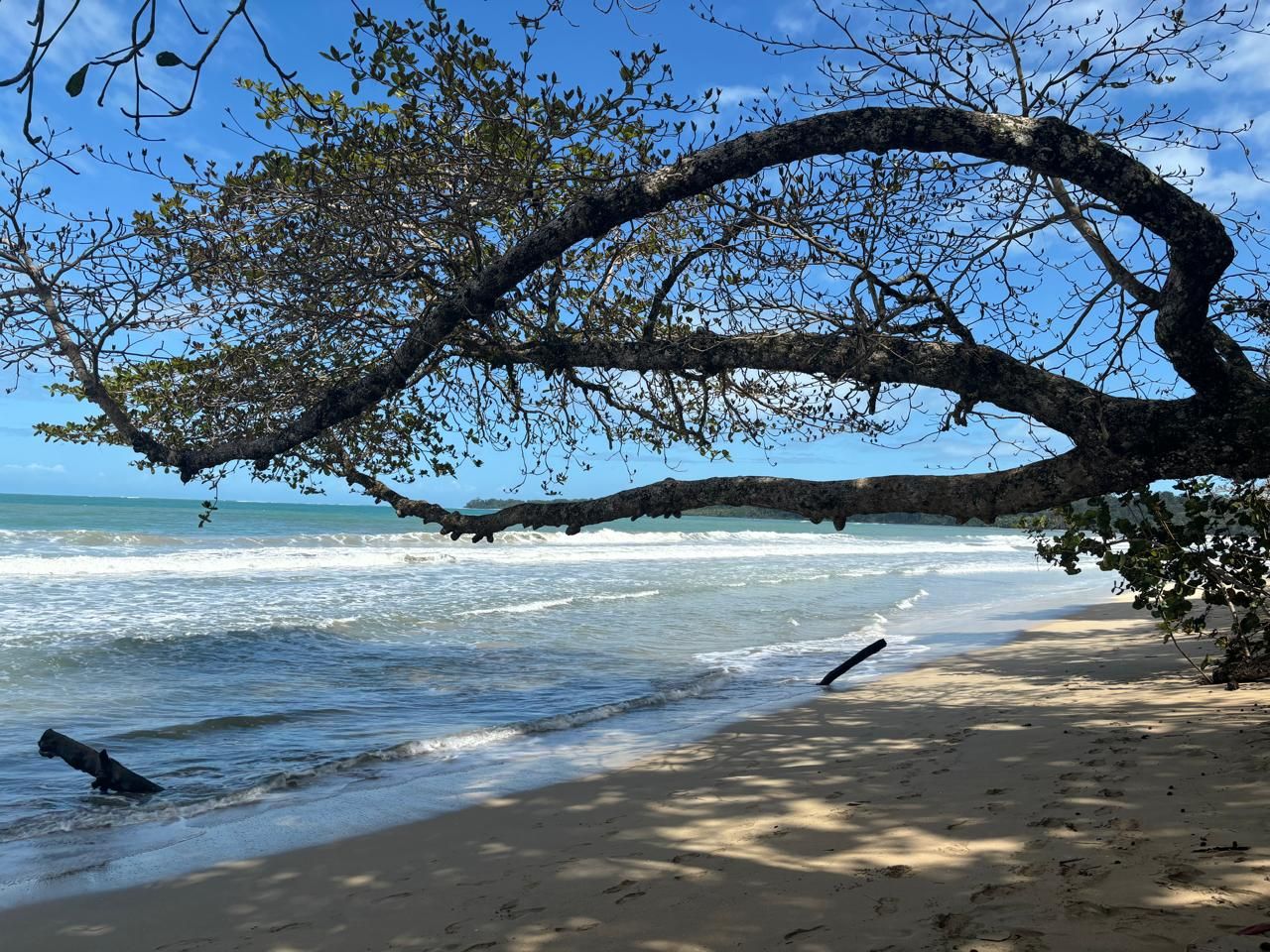 Hike, Splash, and Relax in Cahuita
