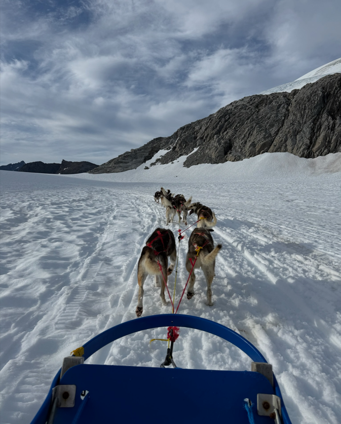 Helicopter and Dog Sled Tour