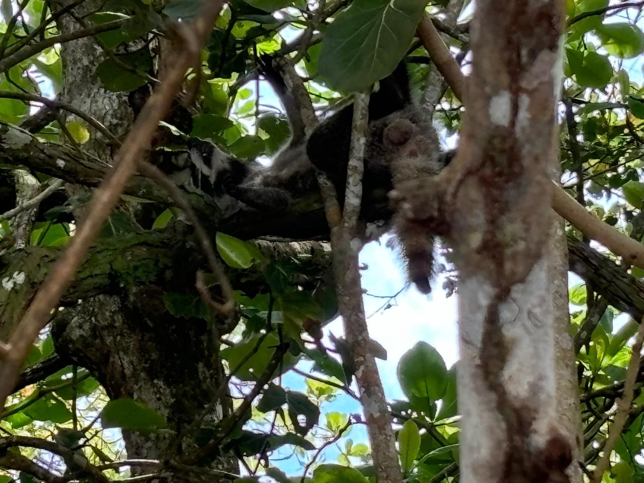Hike, Splash, and Relax in Cahuita