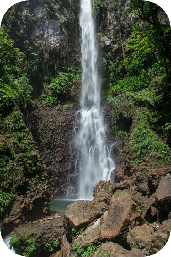 Waterfalls and Wonders: A Scenic Escape into Dominica’s Rainforest