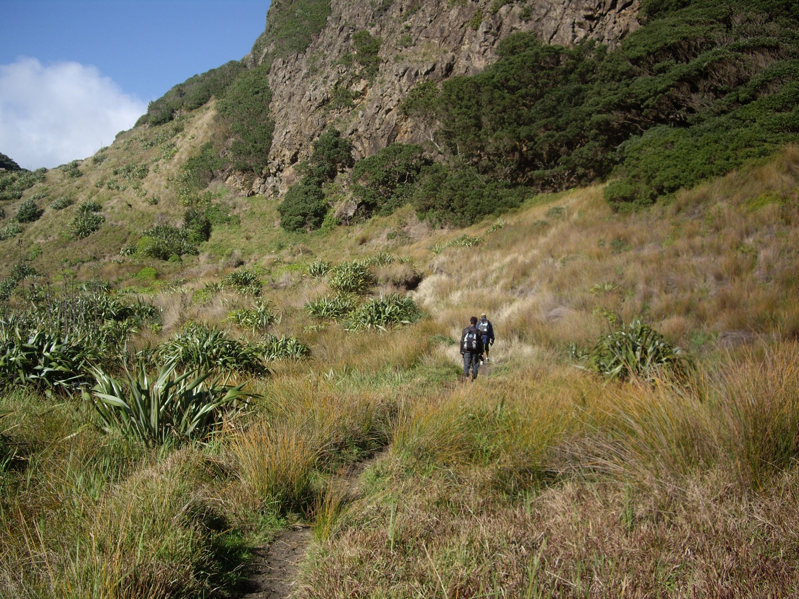 Private Auckland West Coast Guided Wilderness Walk