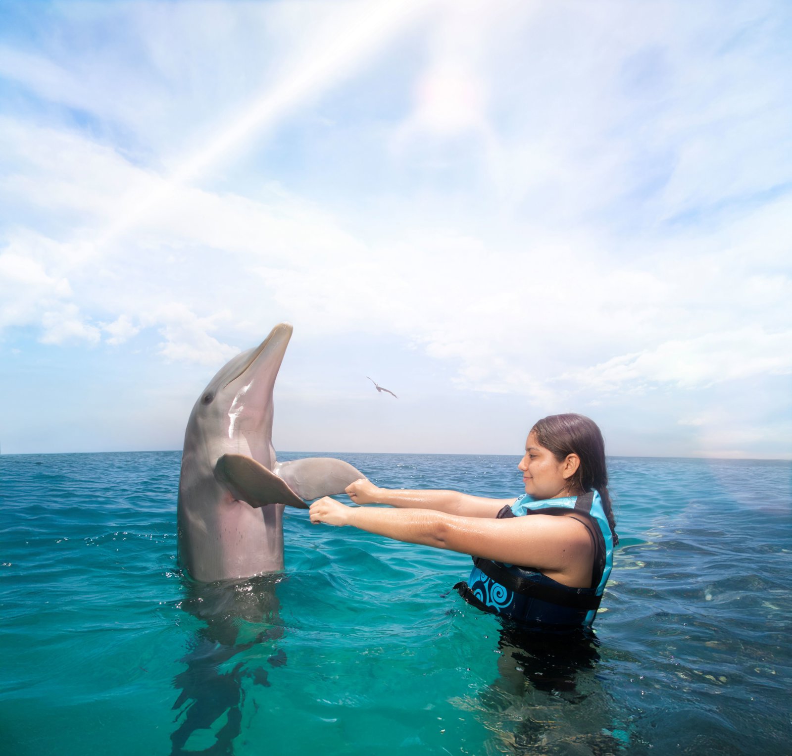 Dolphin Encounter in Cozumel