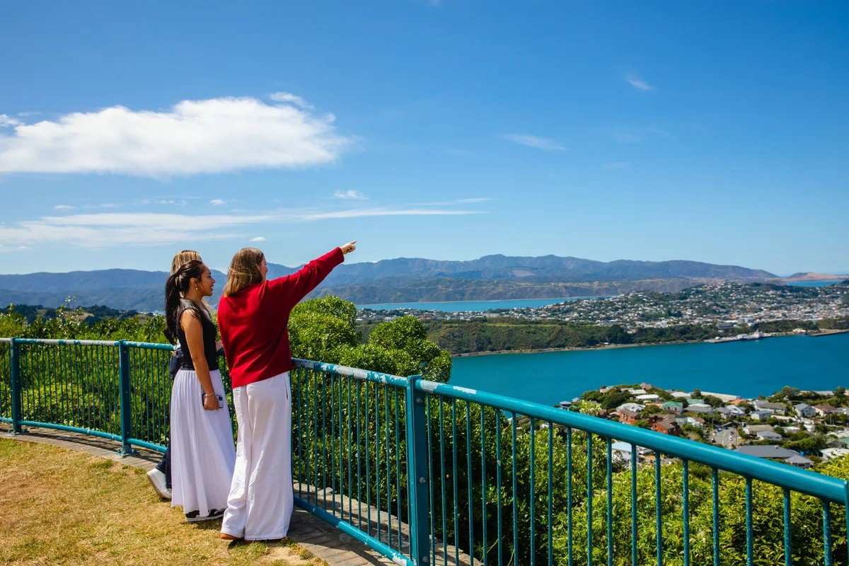 Full Day Wellington Rings Tour