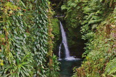 Waterfalls, Rainforest and Lakes: A Journey Through Dominica’s Natural Heart