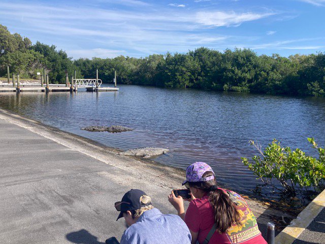 Ultimate Everglades Experience: Kayak, Walk, and Discover With Lunch