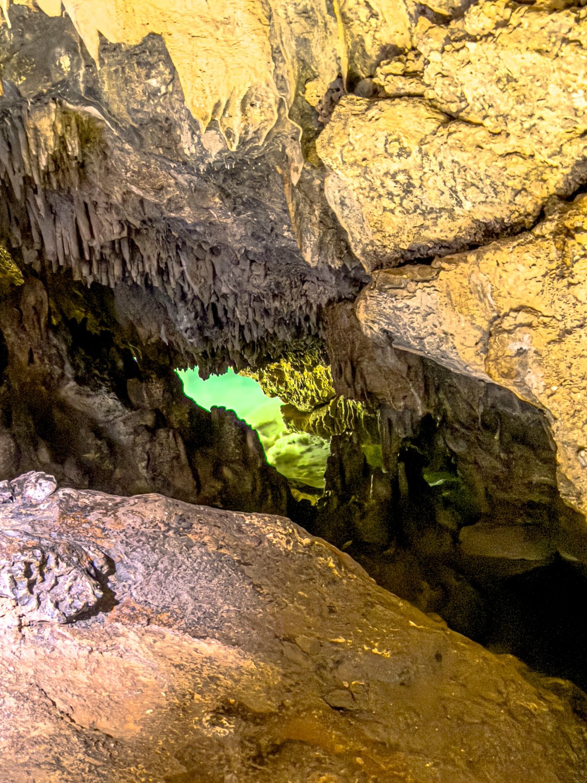 Bonaire Cave Adventure: Explore the Island Beneath the Island