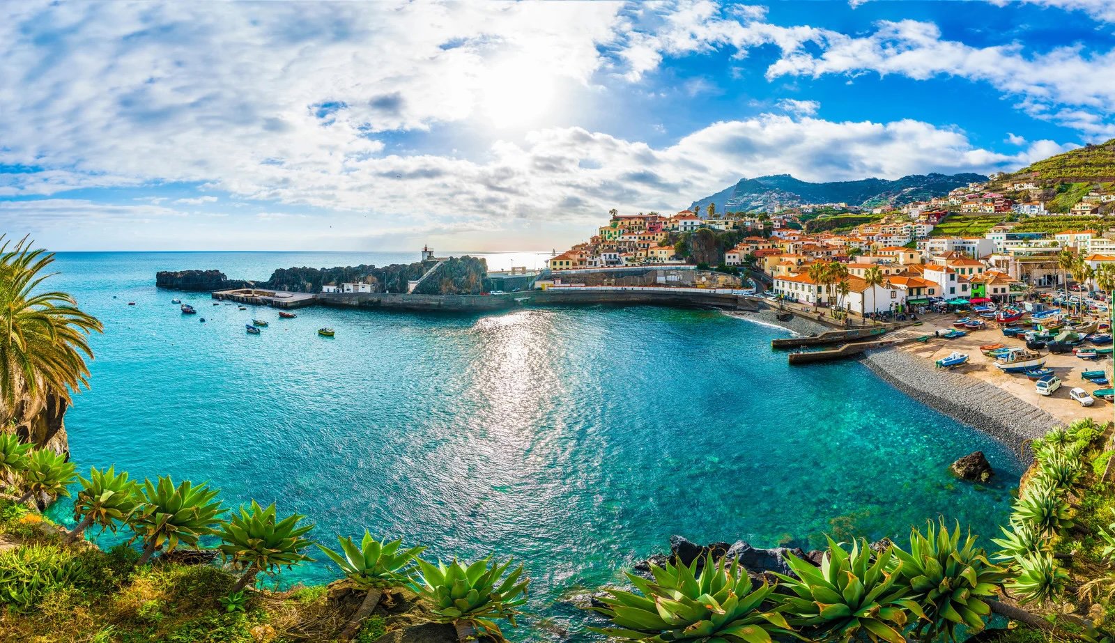 Private Madeira Virtual Experience, Banana Museum and Rum Factory