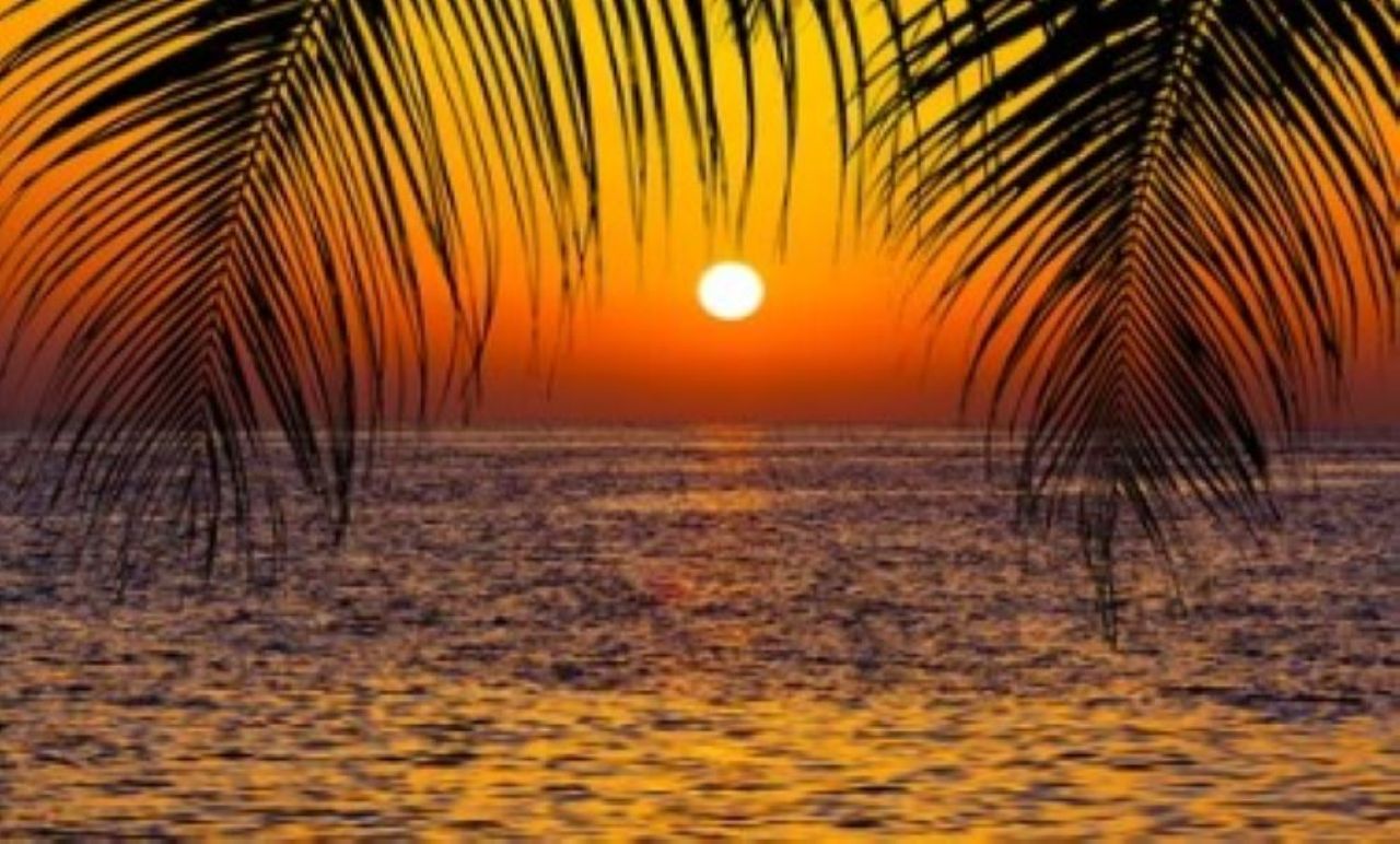 Cocktail Sunset Cruise