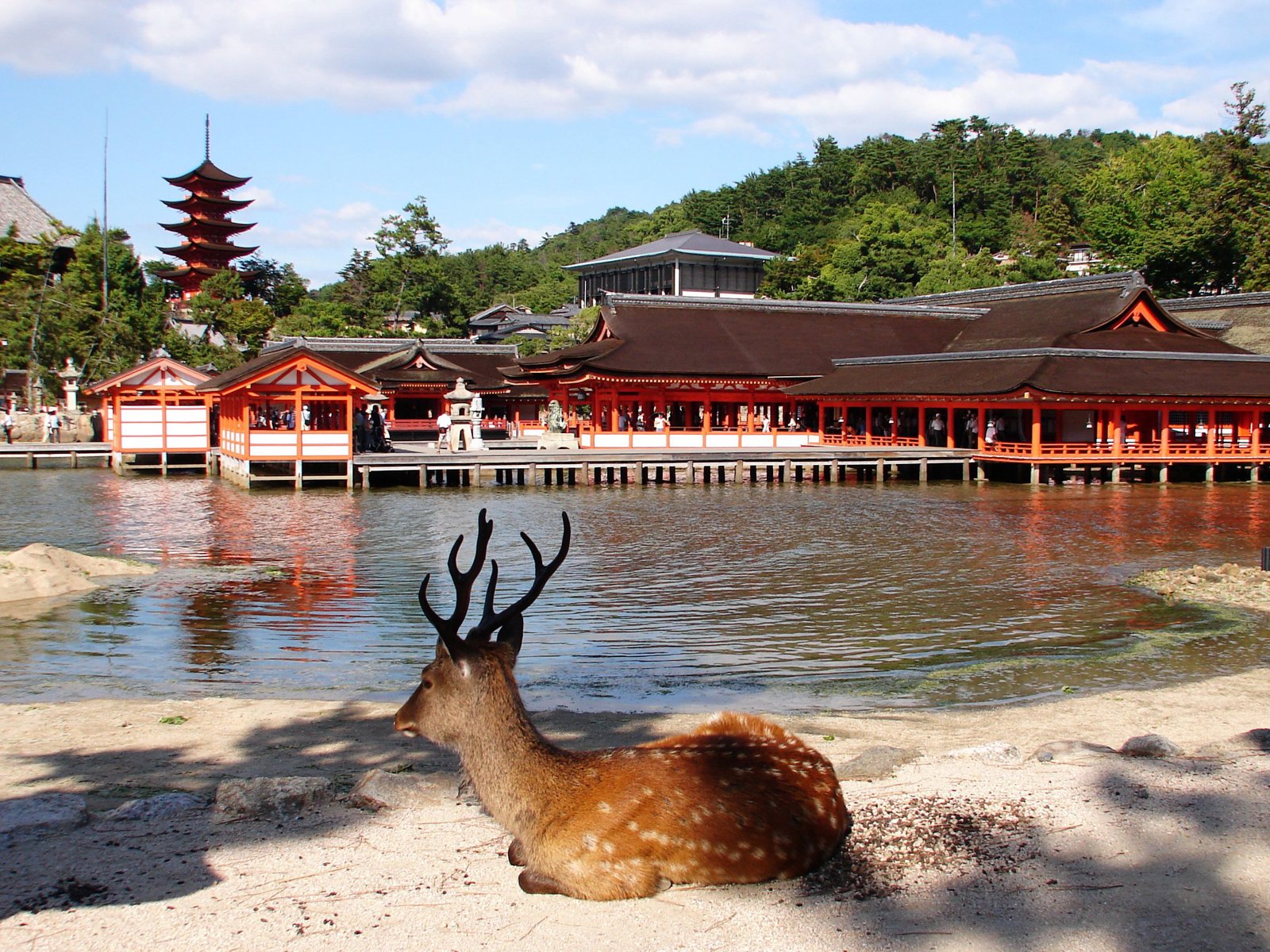 Private Itsukushima Shrine and Hiroshima Peace Sites