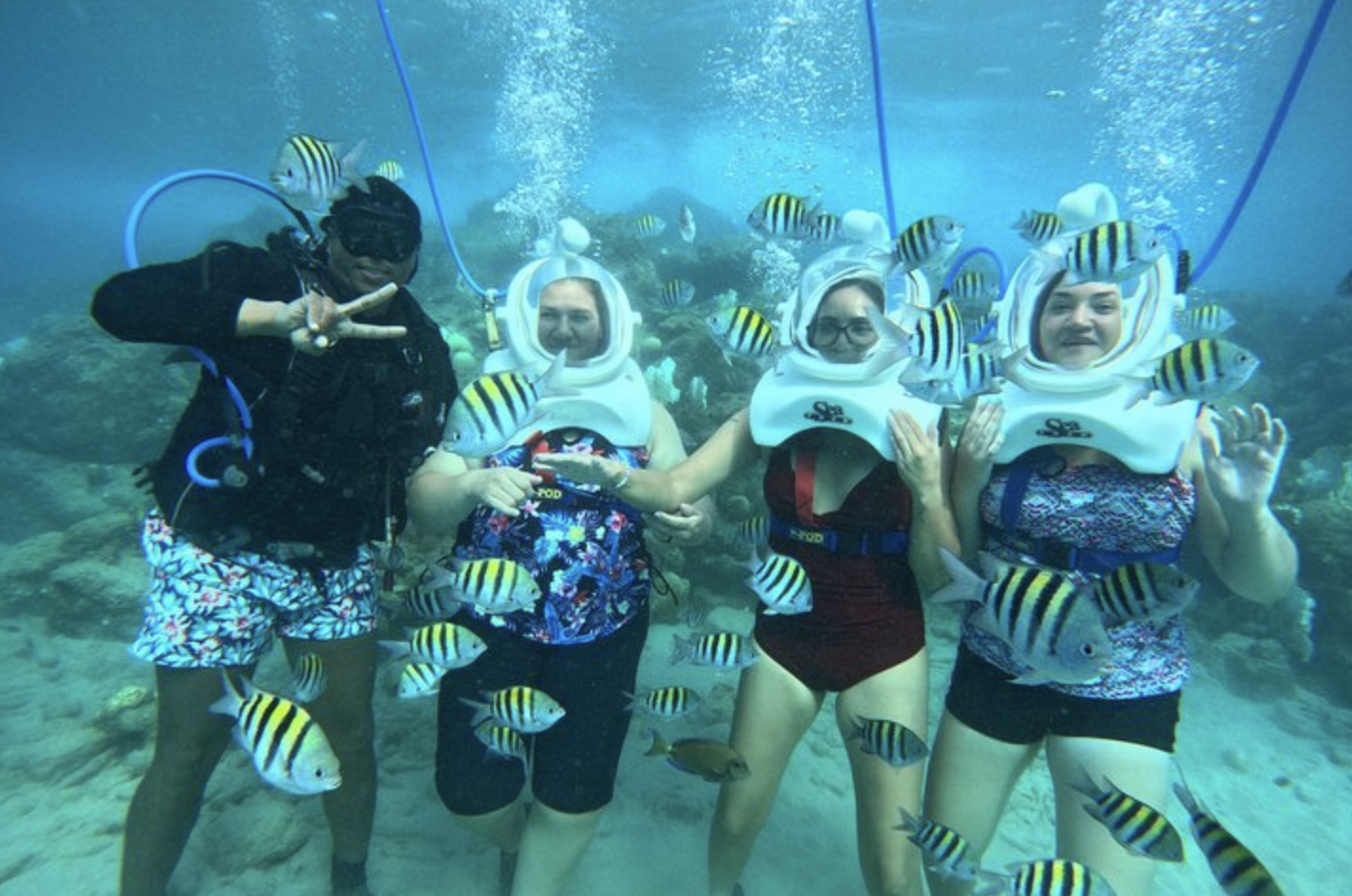 Walk Beneath the Waves