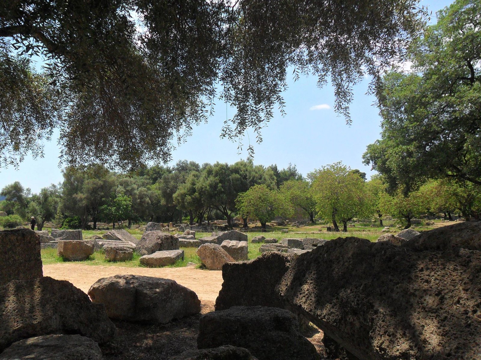 Olympias Ancient Secrets and Wine Enchantment