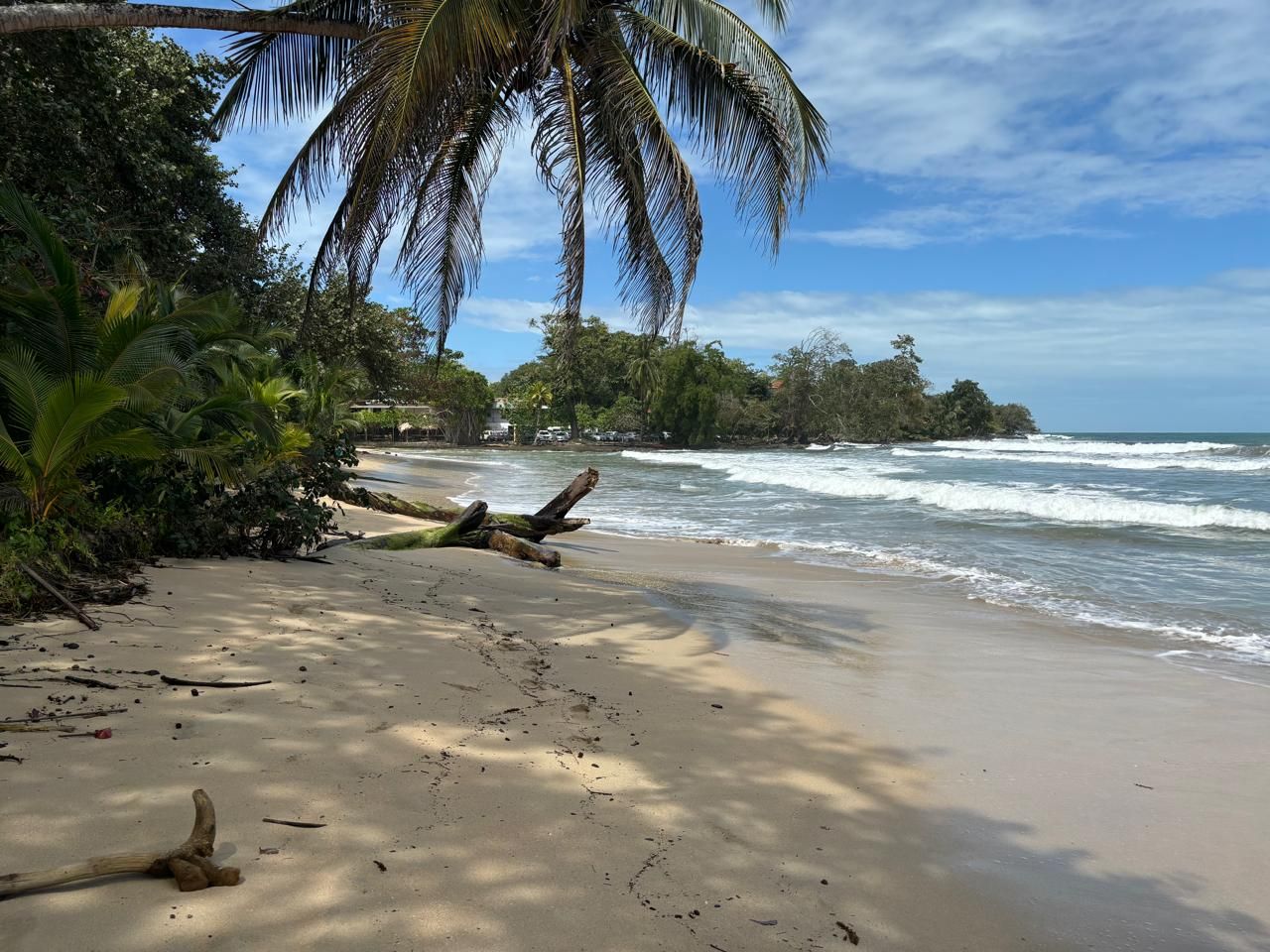Hike, Splash, and Relax in Cahuita