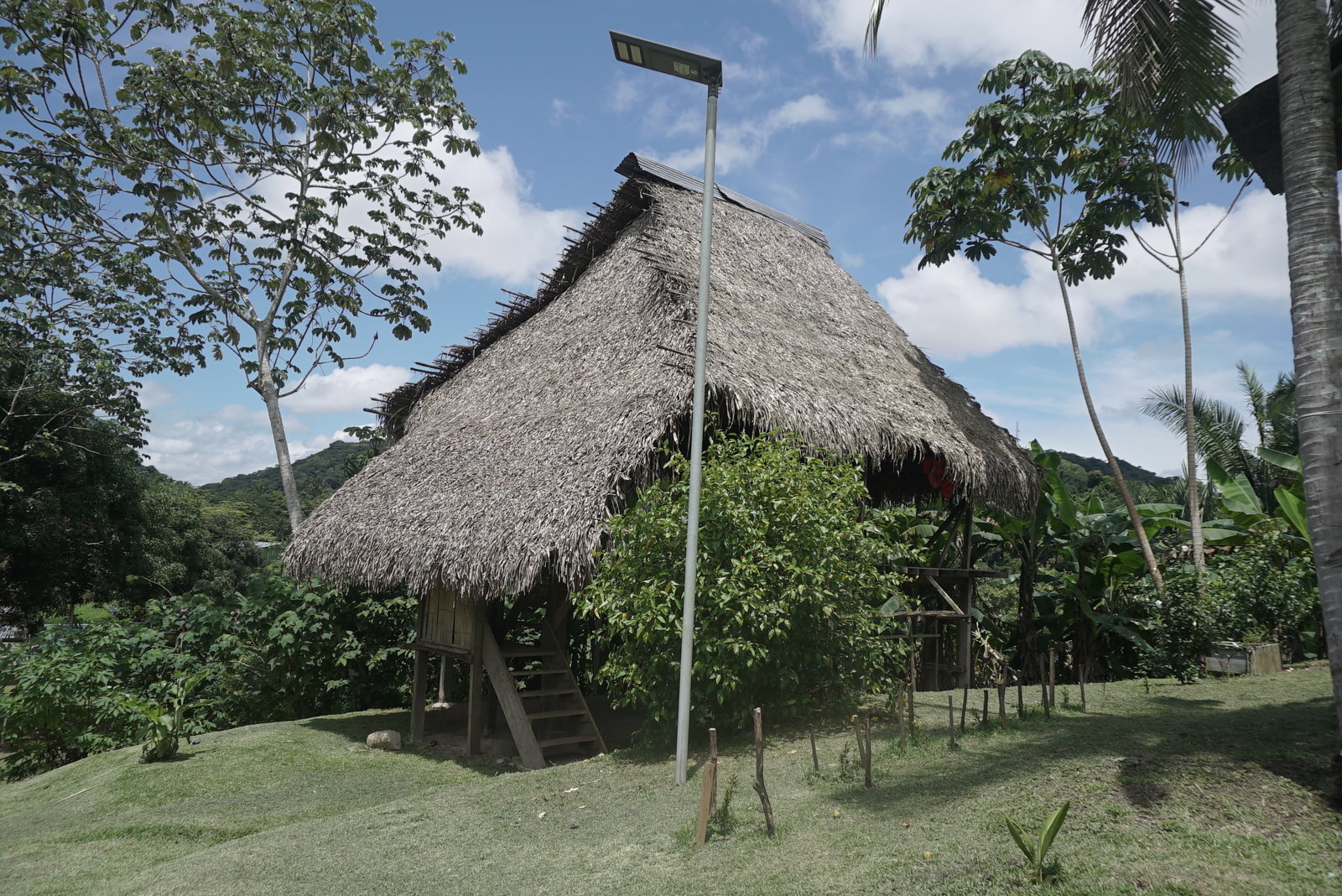 Gatun Rainforest Adventures – Cultural and Historical Journey