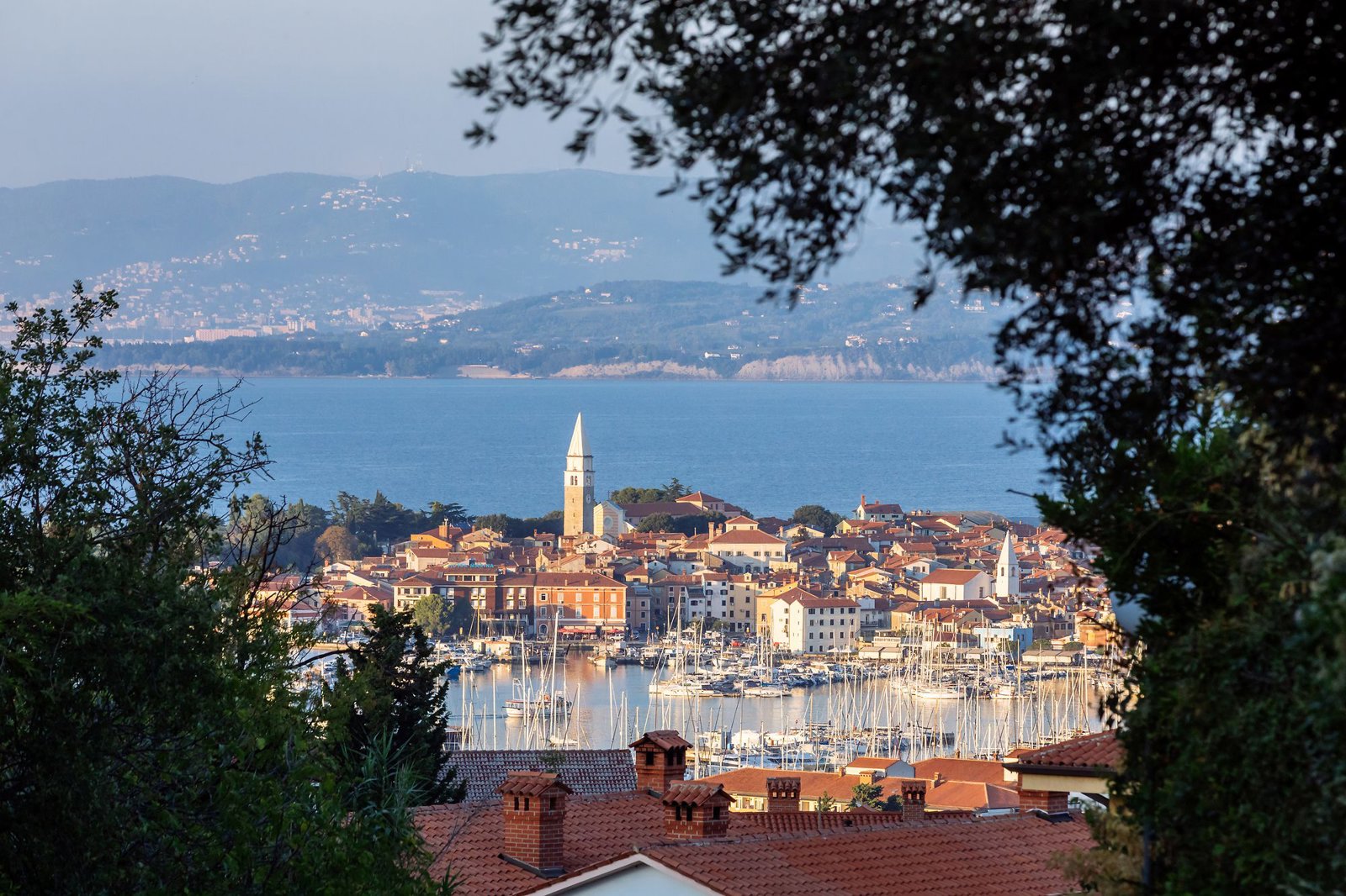 Piran Panorama and Sweet Delight