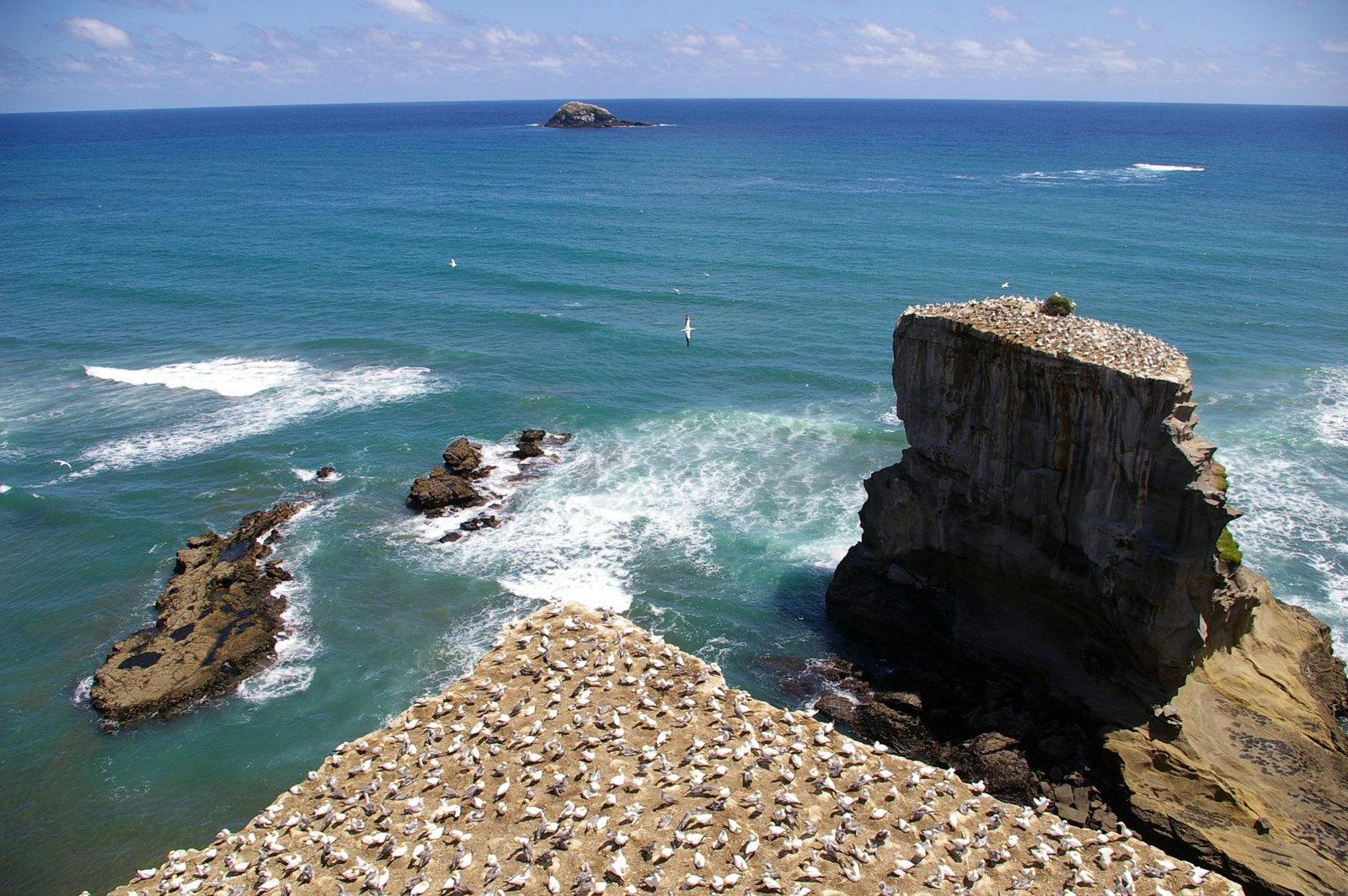 Private West Coast Discovery and Wine and Dine in Kumeu Wine Country