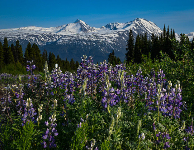 Hidden Gems of Skagway