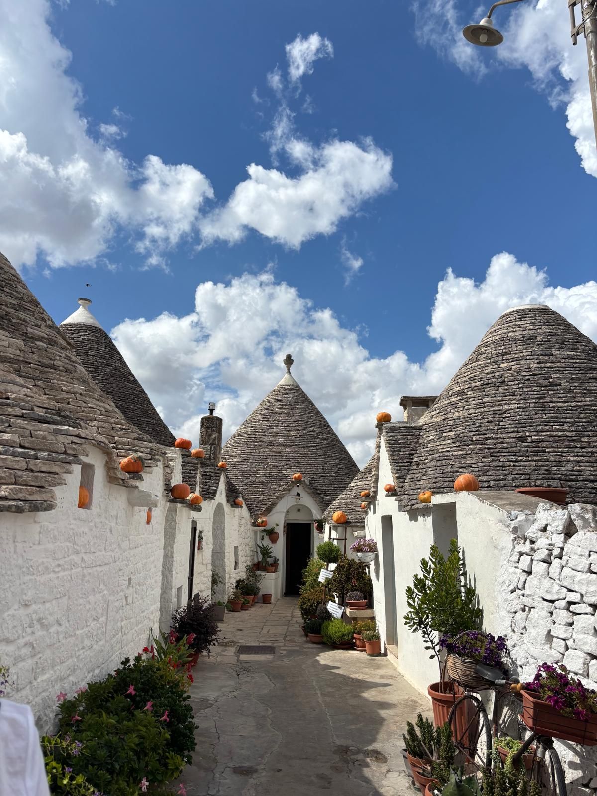 Stone Whispers: Alberobello’s Trulli Village Private Tour