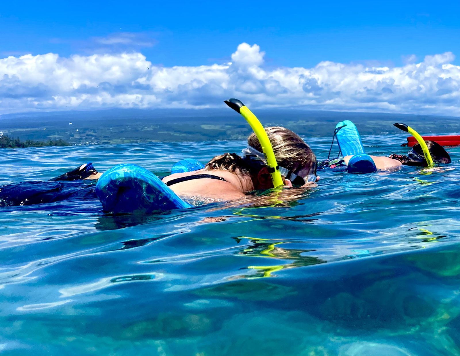 Hilo Beach Snorkel