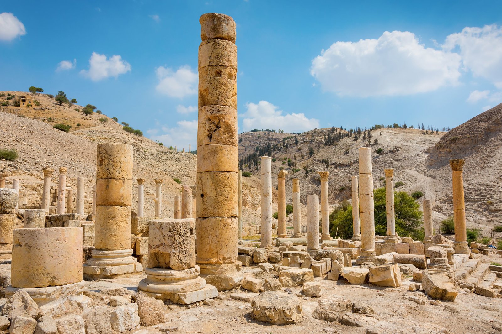 Alexander the Great Birthplace: Ancient Pella Tour