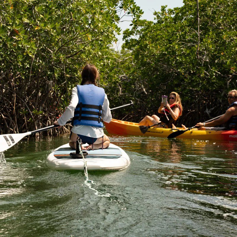 Ultimate Key West Sandbar and Mangrove Kayak Eco-Adventure