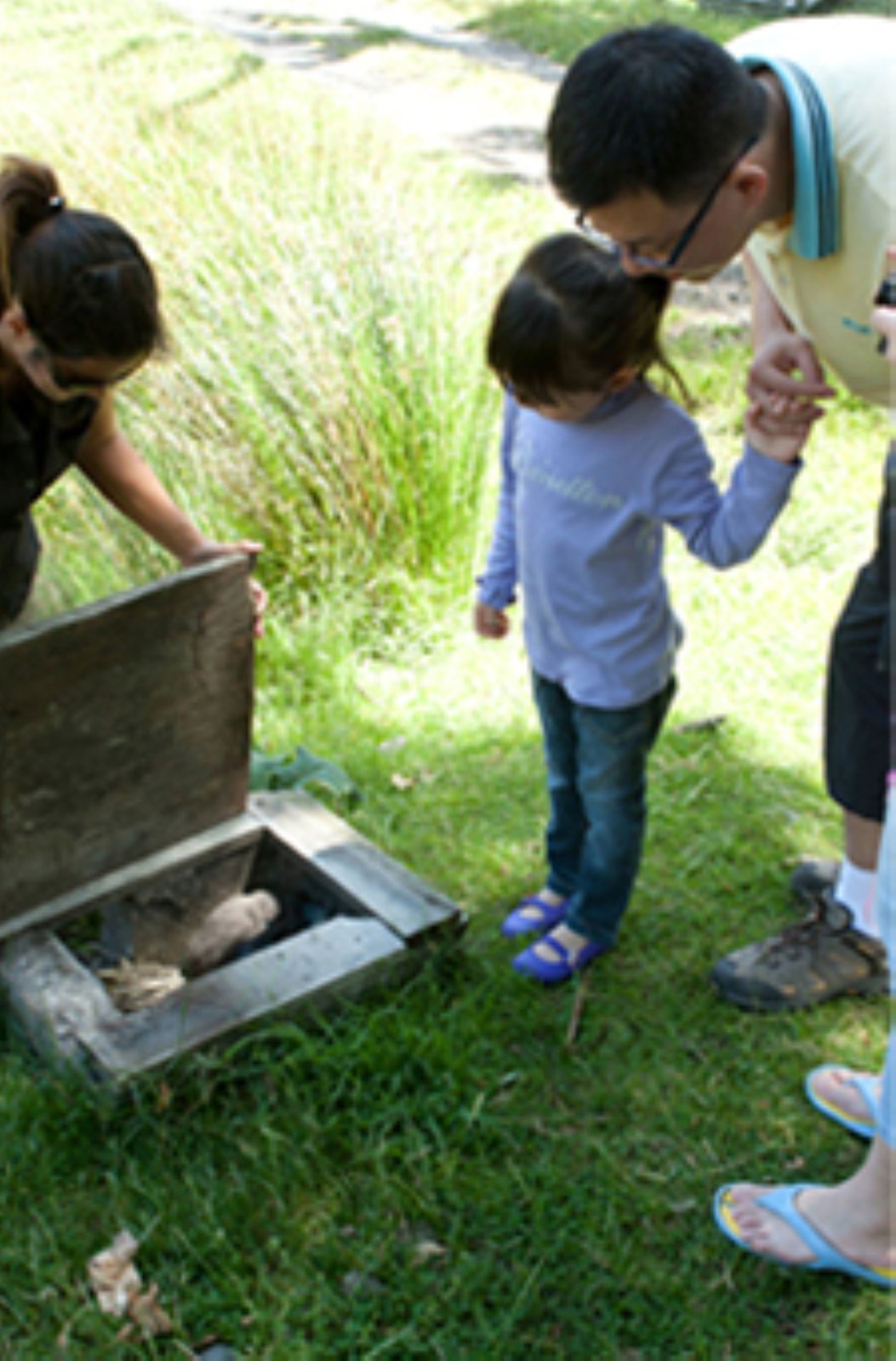 Akaroa Scenic Nature and Wildside Discovery Tour