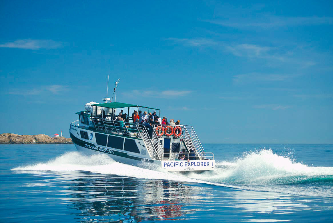Whale Watching in Victoria by Covered Boat