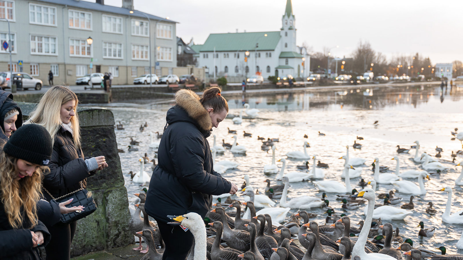 Reykjavik By Foot with a Viking Guide