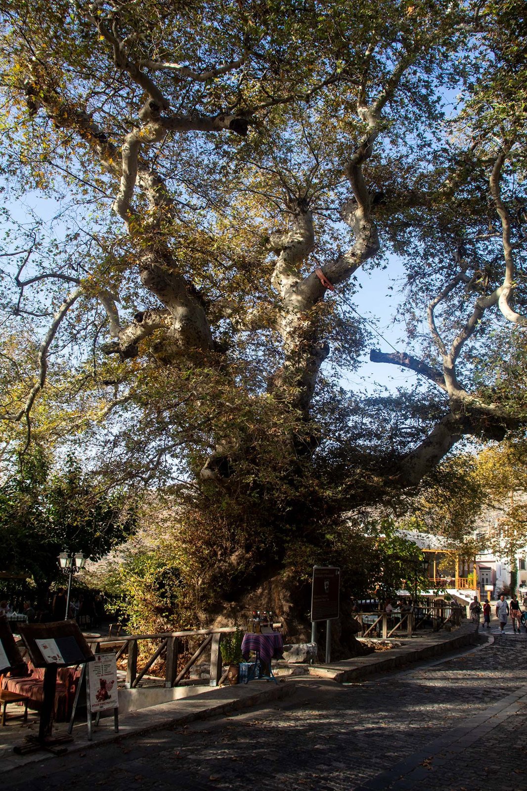 Knossos, Mountain Villages and Olive Oil Experience