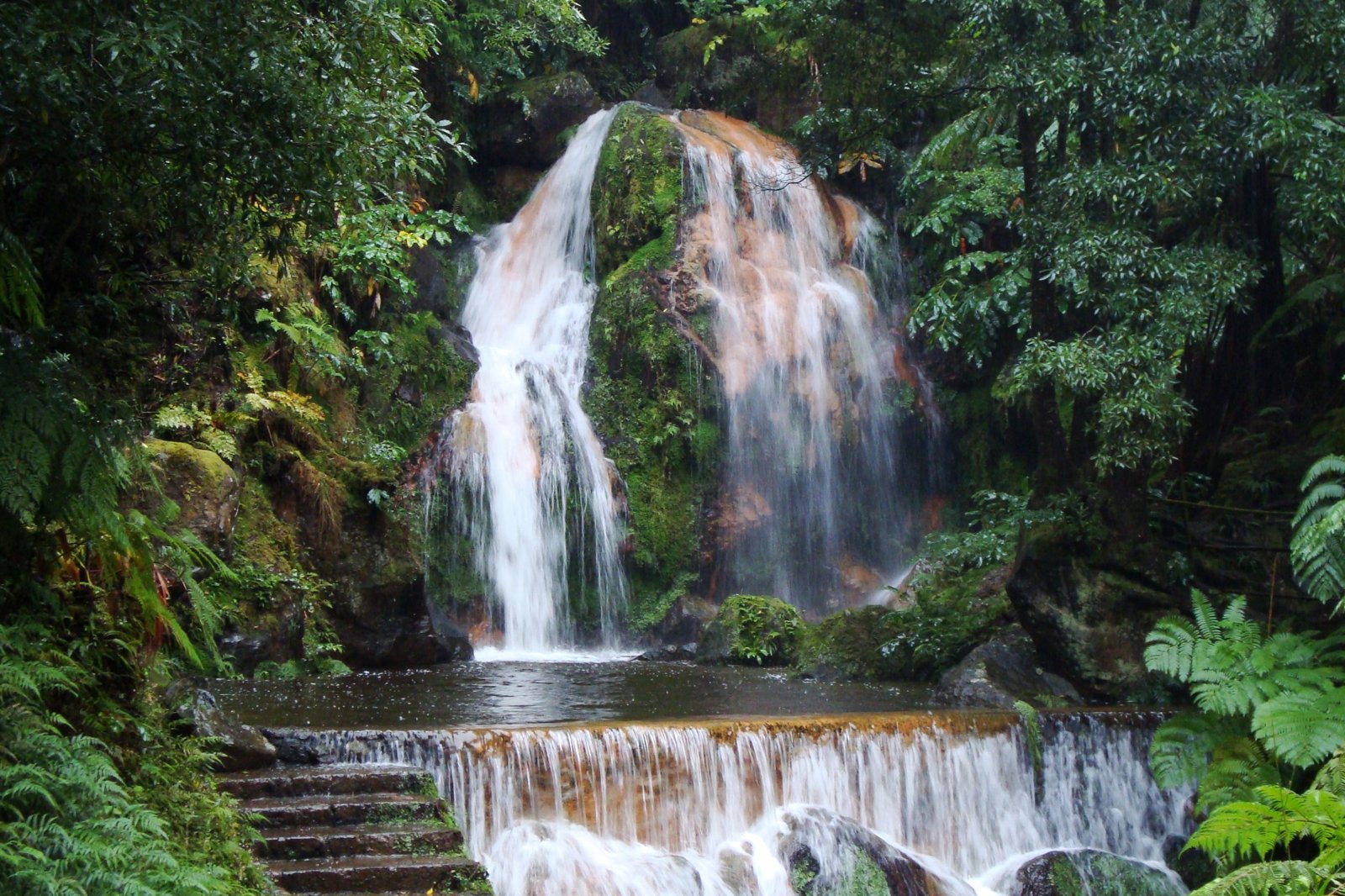 Island Views Van Tour with Waterfall Swim at Caldeira Velha