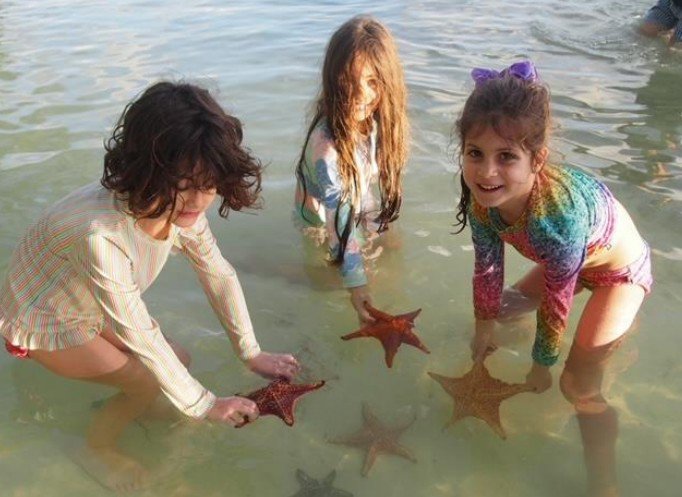 Catamaran Getaway - Stingray City, Starfish Point and Beach Time