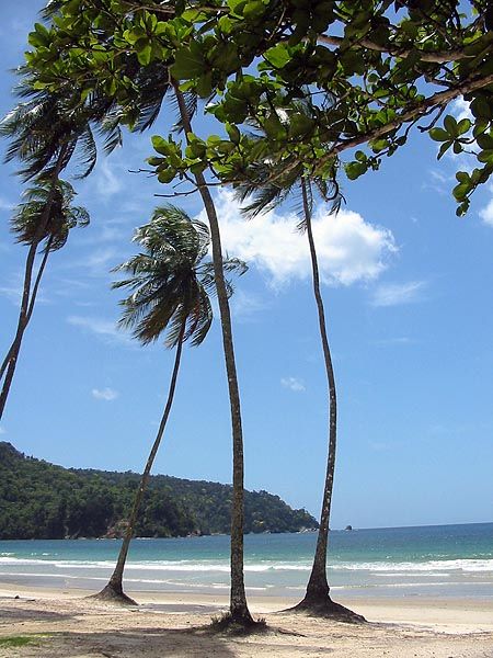 Highlights of Trinidad and Panoramic Drive 