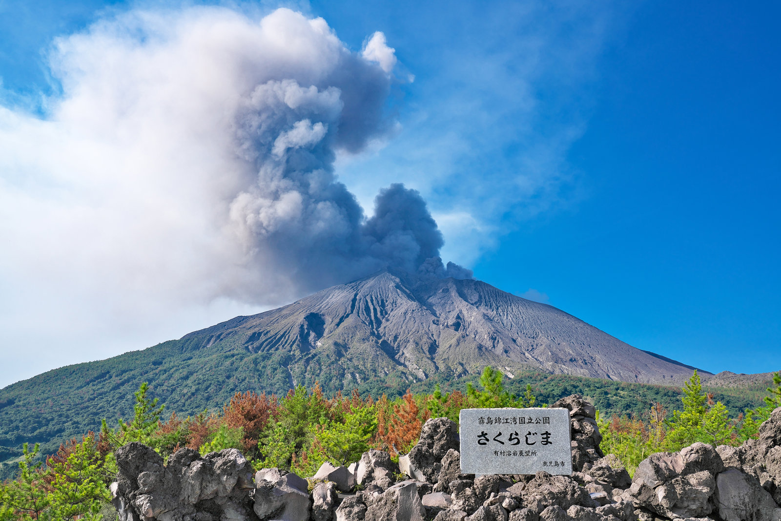 Sakurajima Volcano Highlights Tour
