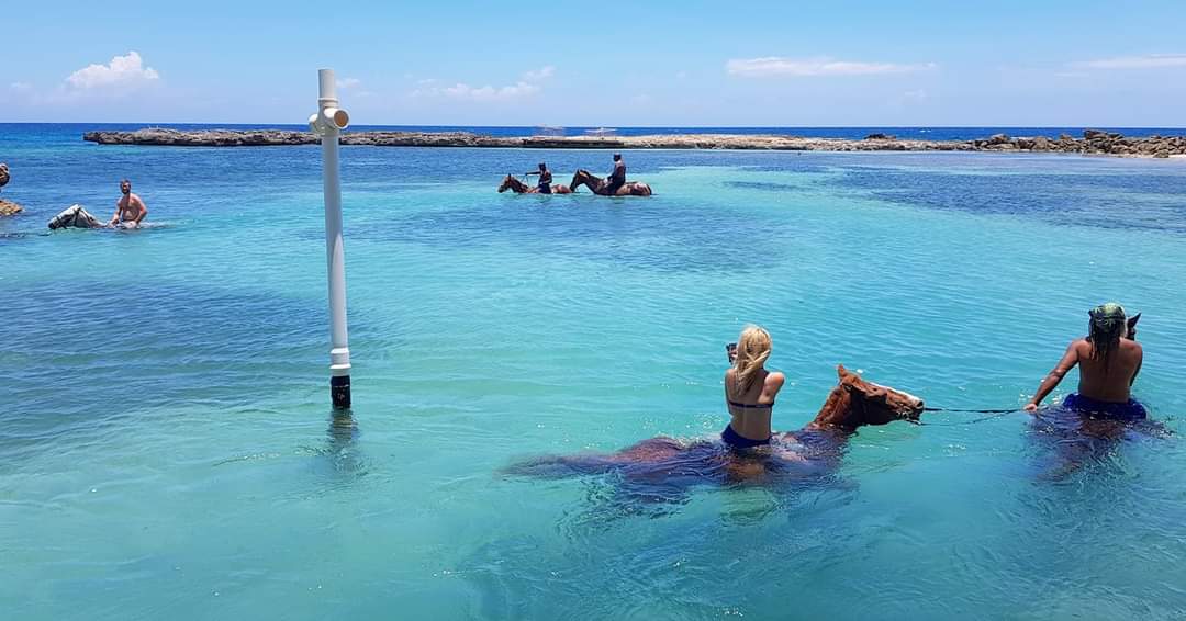 Horseback Ride on the Beach and River Tubing
