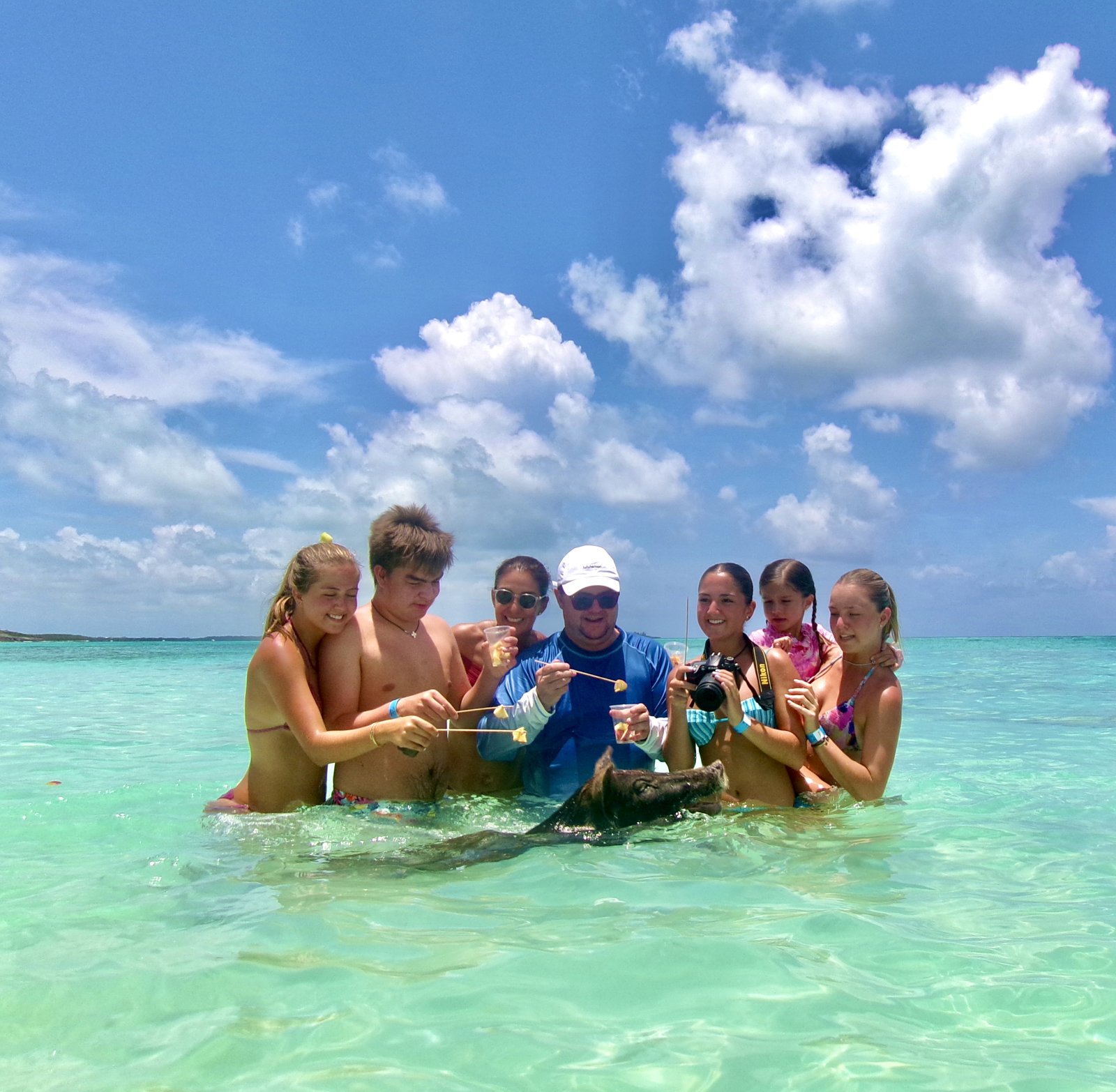Swim With The Pigs and Island Escape with Bahamian Lunch
