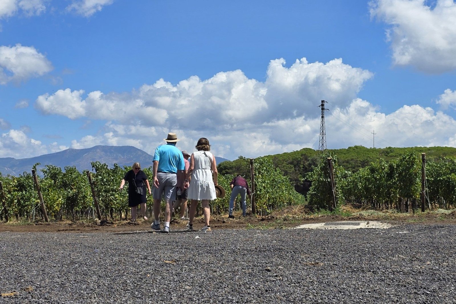 Taormina to Etna: Wine, Views and Volcanic Flavors of Eastern Sicily