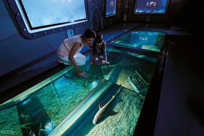 Red Sea Glass-Bottom Boat Experience