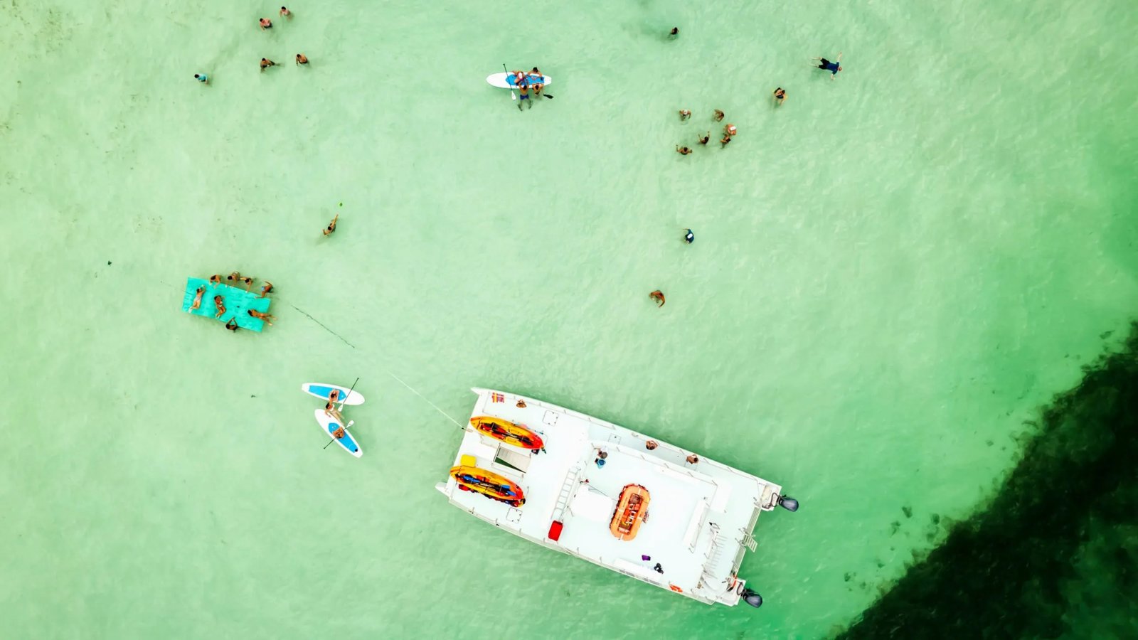 Ultimate Key West Sandbar and Mangrove Kayak Eco-Adventure