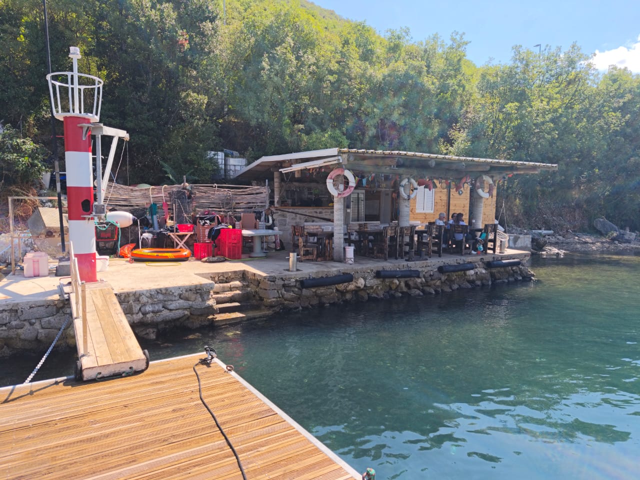Kotor Bay Speedboat Adventure and Mussel Tasting Experience