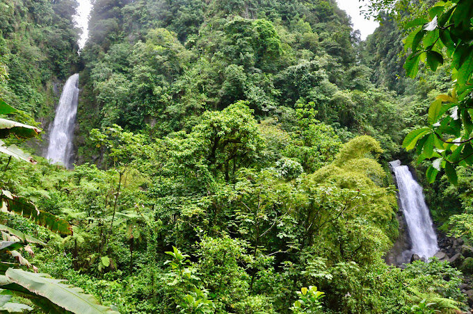Dominica’s Natural Wonders: Emerald Pool and Trafalgar Falls Tour