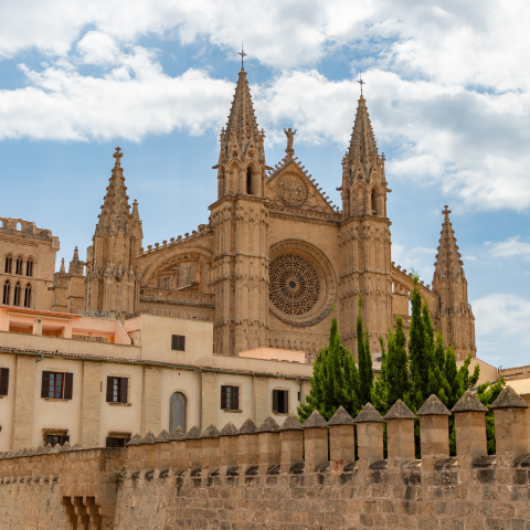 Private Tour - Palma City Highlights with Professional English Speaking Guide 