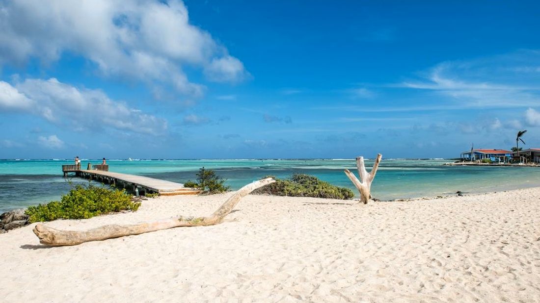 Discover Bonaire: North and South Island Nature 