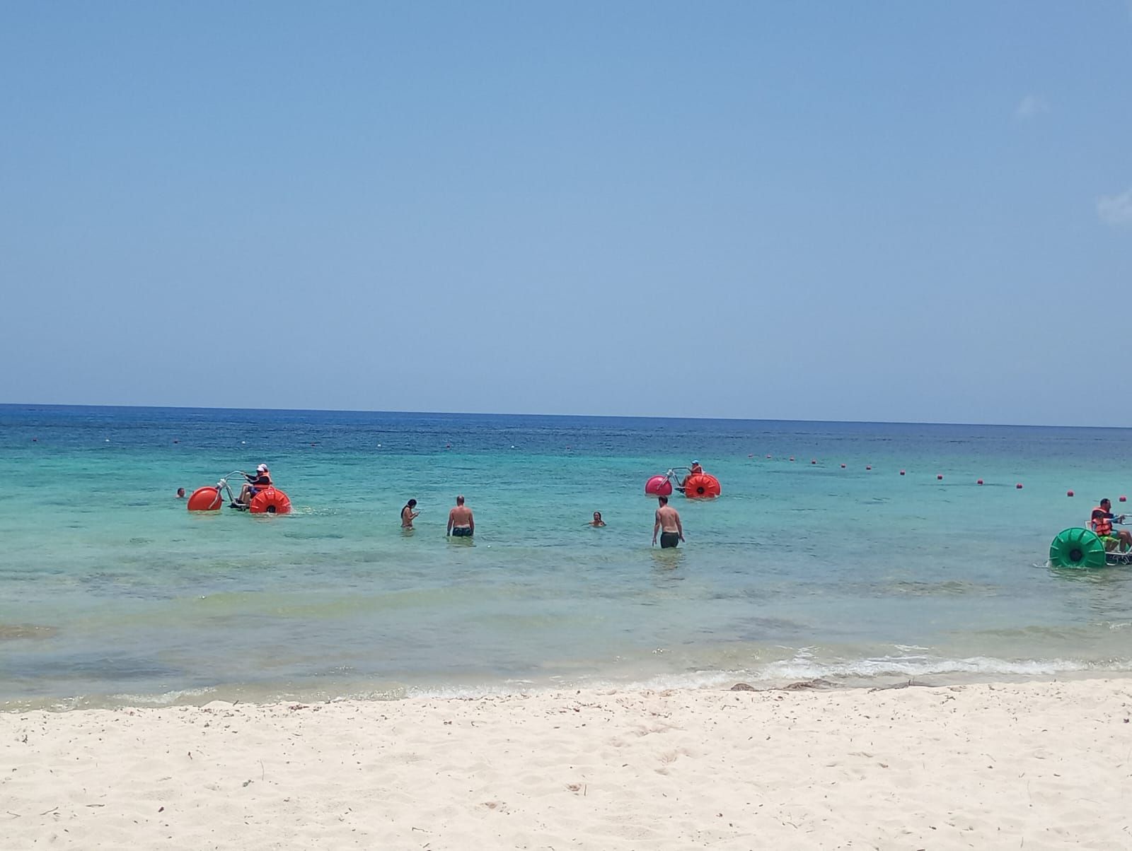 Snorkel Tour: Coral Reefs, Snorkeling and Lunch 