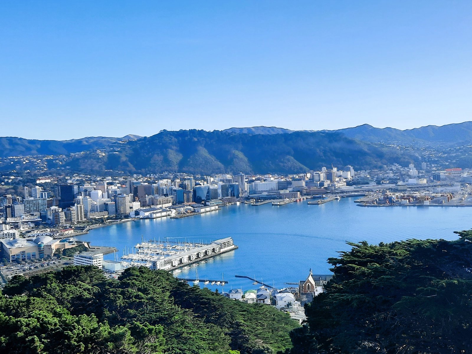 Small Group Wellington Discovery Tour plus Lunch