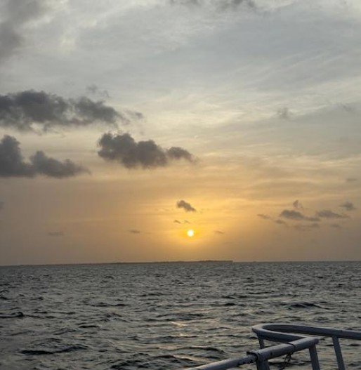 Stingrays and Sunset Catamaran Sail