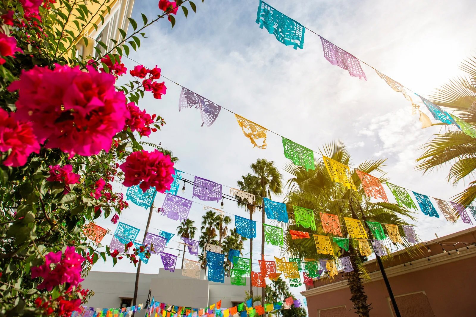 Private Cabo and San Jose Delights: A Journey Through History and Art