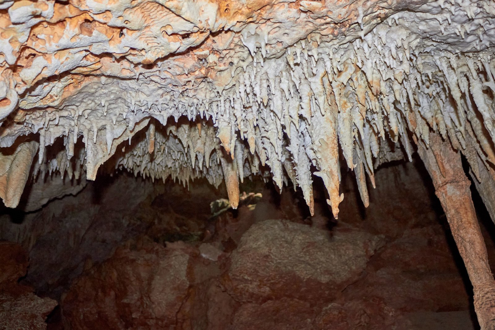 Bonaire Cave Adventure: Explore the Island Beneath the Island