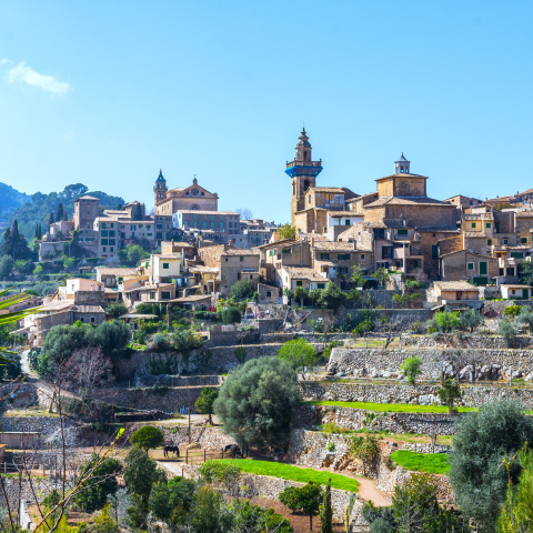 Private Post Cruise - Valldemossa, Deia and Soller 