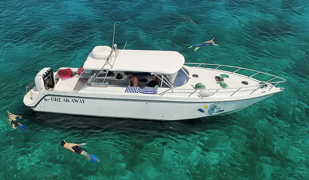 Cocktail Sunset Cruise