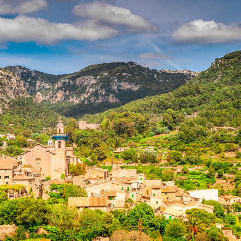 Private Tour - Valldemossa, Deia, Soller, Palma City, Cathedral and Bellver Castle 